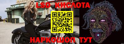 винт Будённовск