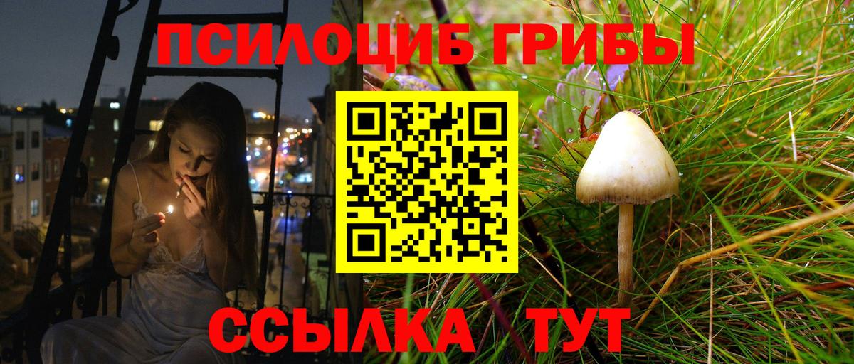 Галлюциногенные грибы MAGIC MUSHROOMS  Вход с VPN  Псилоцибиновые грибы ЛСД  Асино 